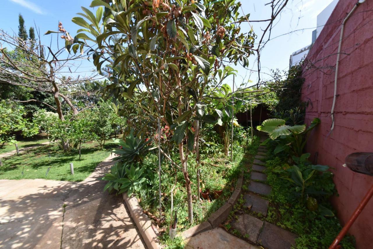Casa El Tonelero Con Jardin Y Piscina Privada Villa Gáldar Exterior photo